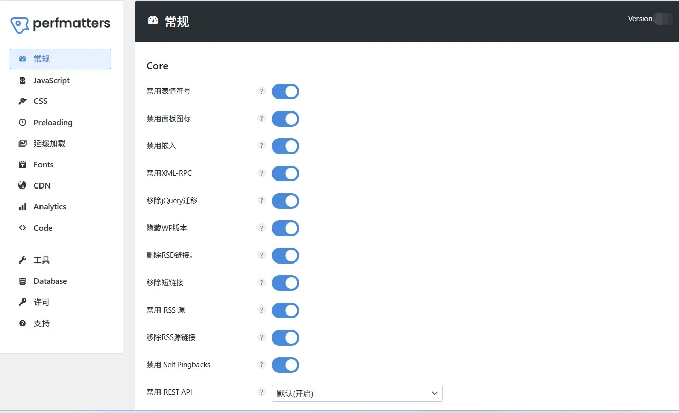 Perfmatters 2.5.2 中文激活版 优化加速WordPress 网站的超轻量型插件 WP Rocket的黄金搭档插件(perfmatters)[含激活码]-1
